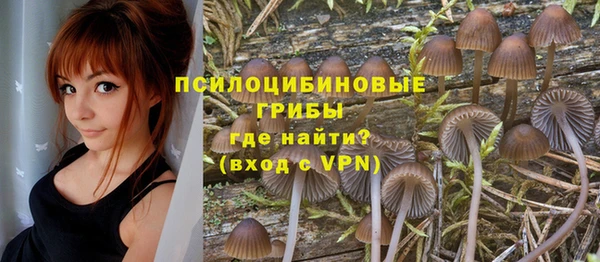 дмт Абдулино