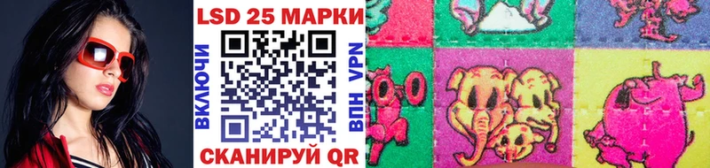 KRAKEN ONION купить наркотик Новотитаровская Марки NBOMe 1500мкг