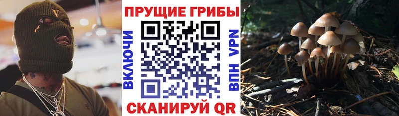 Псилоцибиновые грибы ЛСД  цены   Новотитаровская 